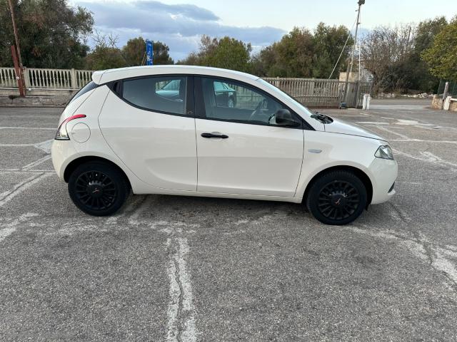 Auto - Lancia ypsilon 1.2 69 cv 5p. gold