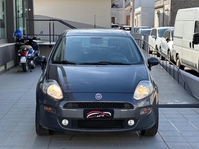 Auto - Fiat punto 1.2 8v 5p. street