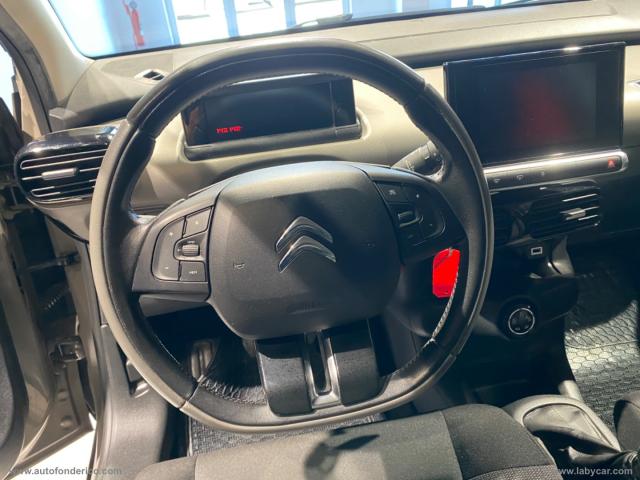 Auto - Citroen c4 cactus bluehdi 100 feel