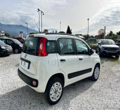 Auto - Fiat panda 0.9 twinair turbo nat. pow. lounge