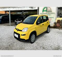 Auto - Fiat panda 1.0 panda con adas