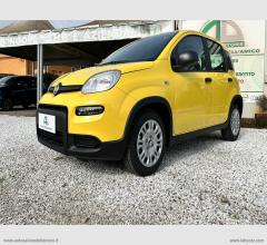 Auto - Fiat panda 1.0 panda con adas