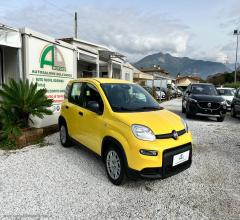 Auto - Fiat panda 1.0 panda con adas