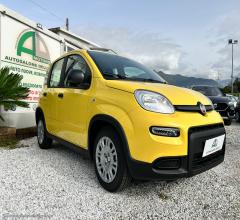 Auto - Fiat panda 1.0 panda con adas