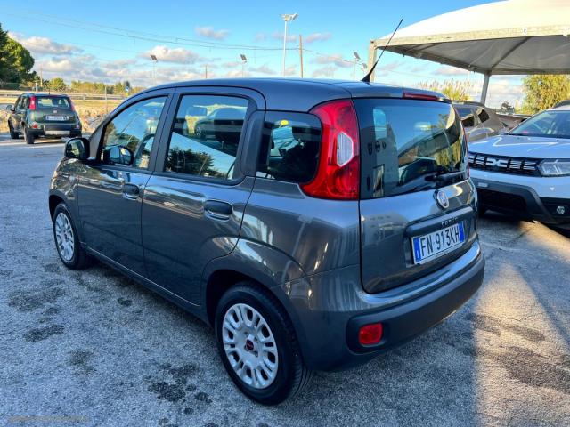 Auto - Fiat panda 1.2 easypower easy