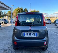 Auto - Fiat panda 1.2 easypower easy