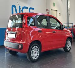 Auto - Fiat panda 1.2 easy