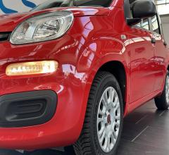 Auto - Fiat panda 1.2 easy