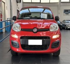 Auto - Fiat panda 1.2 easy