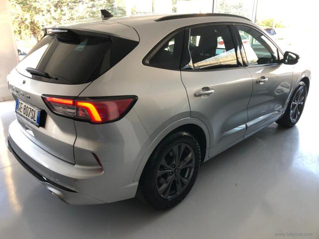 Auto - Ford kuga 1.5 ecoblue 120 cv 2wd st-line x