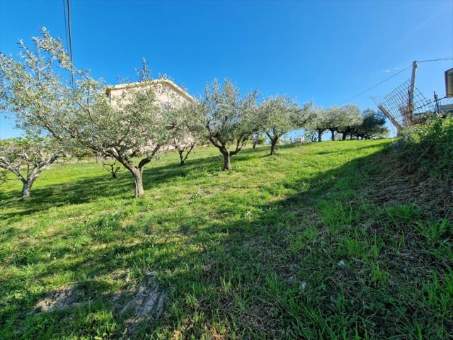 Appartamenti in Vendita - Terreno edificabile in vendita a silvi contrada piane maglierici