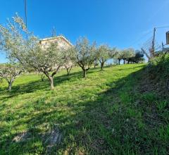 Appartamenti in Vendita - Terreno edificabile in vendita a silvi contrada piane maglierici