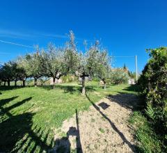 Appartamenti in Vendita - Terreno edificabile in vendita a silvi contrada piane maglierici