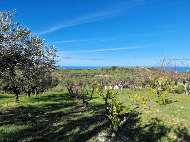 Appartamenti in Vendita - Terreno edificabile in vendita a silvi contrada piane maglierici