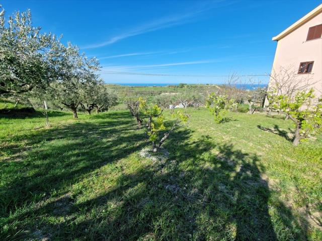 Appartamenti in Vendita - Terreno edificabile in vendita a silvi contrada piane maglierici