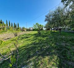 Appartamenti in Vendita - Terreno edificabile in vendita a silvi contrada piane maglierici