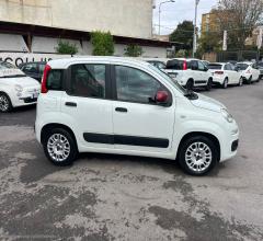 Auto - Fiat panda 1.3 mjt s&s lounge