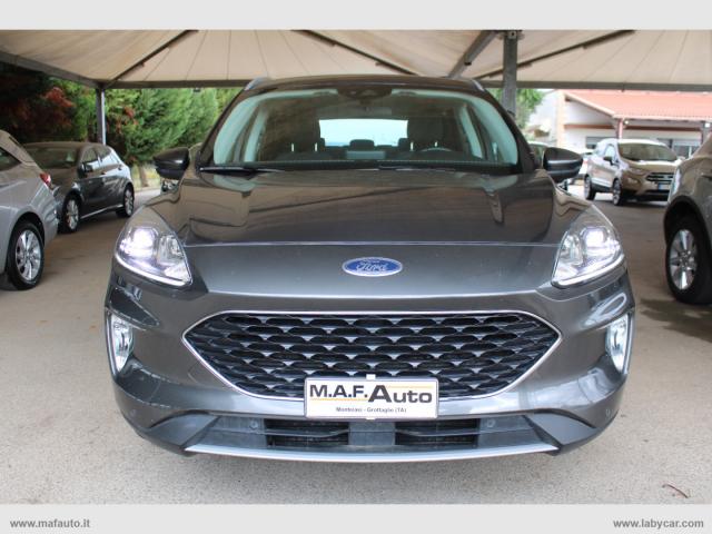 Auto - Ford kuga 1.5 ecoblue 120 cv 2wd connect