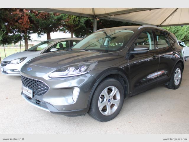 Auto - Ford kuga 1.5 ecoblue 120 cv 2wd connect