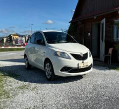 Auto - Lancia ypsilon 1.2 69 cv 5p. gold