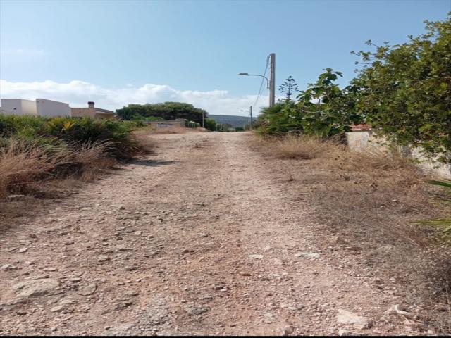 Appartamenti in Vendita - Terreno agricolo in vendita a custonaci cornino