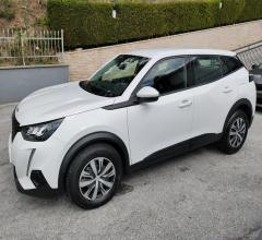 Auto - Peugeot 2008 bluehdi 100 s&s active