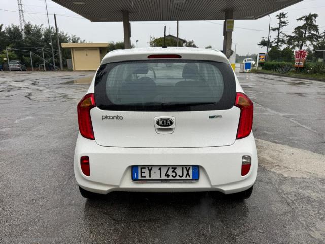 Auto - Kia picanto 1.0 12v ecogpl 5p. city