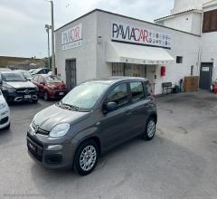 Auto - Fiat panda 1.0 firefly s&s hybrid