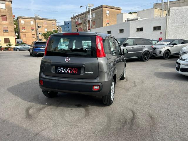 Auto - Fiat panda 1.0 firefly s&s hybrid