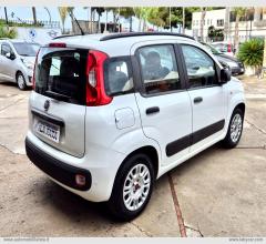 Auto - Fiat panda 1.2 easypower easy