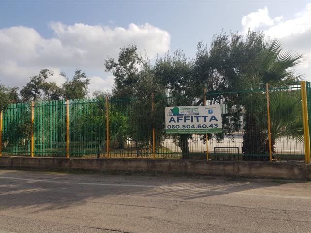 Appartamenti in Vendita - Capannone industriale in affitto a bari periferia