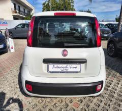 Auto - Fiat panda 1.2 easypower easy