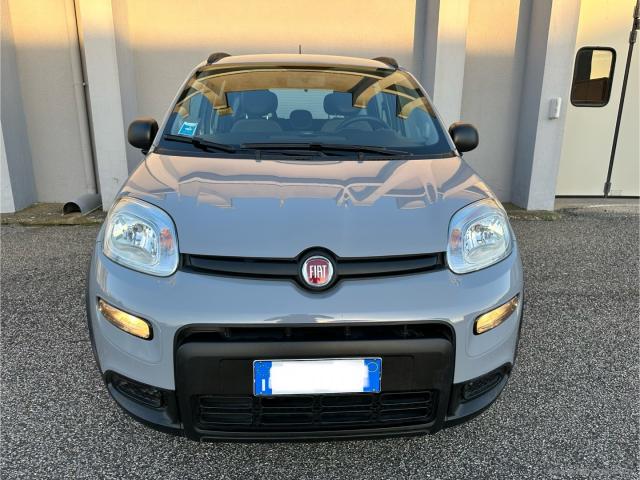 Auto - Fiat panda 1.0 firefly s&s hybrid city life