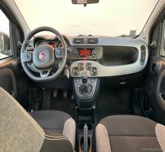 Auto - Fiat panda 1.0 firefly s&s hybrid city life