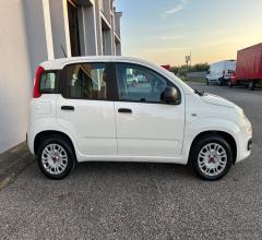 Auto - Fiat panda 1.2 easy