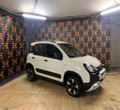 Auto - Fiat panda cross 1.0 firefly s&s hybrid