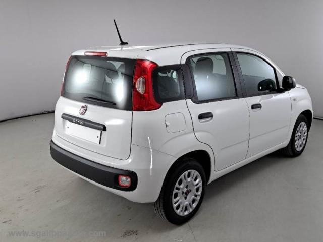 Auto - Fiat panda 1.2 easy 5 posti