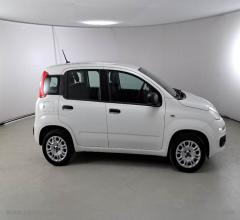 Auto - Fiat panda 1.2 easy 5 posti