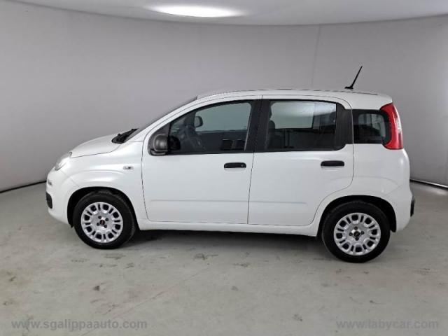 Auto - Fiat panda 1.2 easy 5 posti