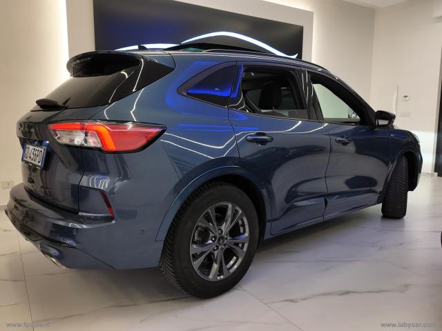 Auto - Ford kuga 1.5 ecoblue 120 cv 2wd st-line x