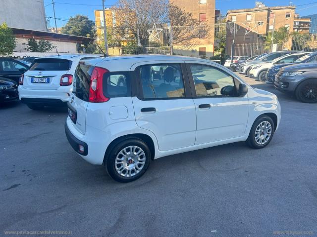 Auto - Fiat panda 1.0 firefly s&s hybrid