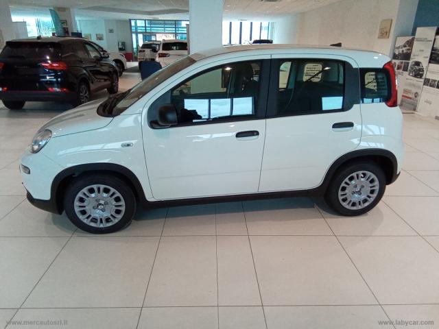 Auto - Fiat panda 1.0 firefly s&s hybrid