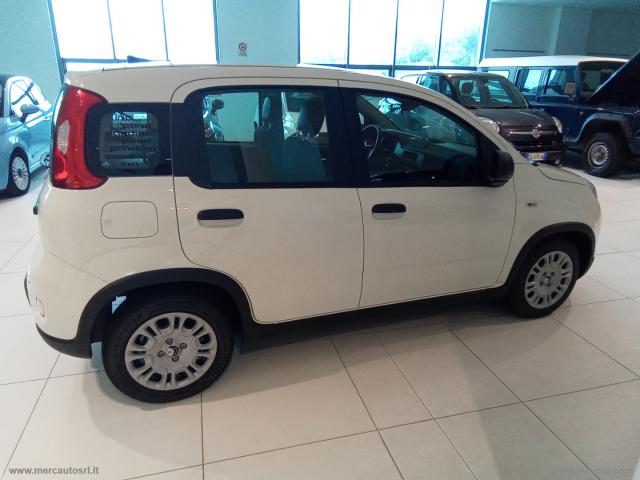 Auto - Fiat panda 1.0 firefly s&s hybrid