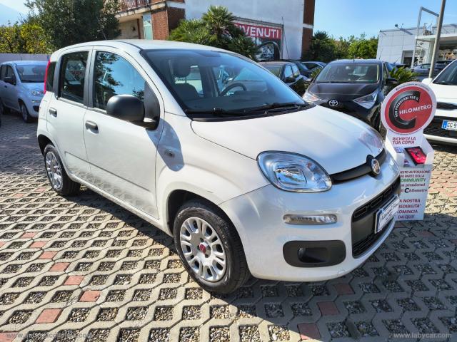 Fiat panda 1.2 easy