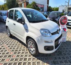 Auto - Fiat panda 1.2 easy