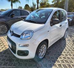 Auto - Fiat panda 1.2 easy