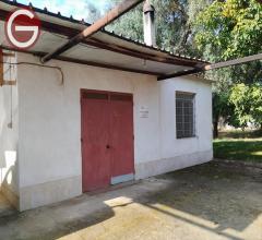 Appartamenti in Vendita - Casa indipendente in vendita a taurianova periferia