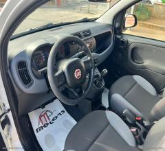 Auto - Fiat panda lounge 1.3 mj 95cv