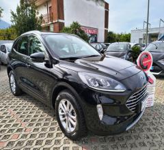 Ford kuga 1.5 ecoblue 120 cv 2wd titanium bus