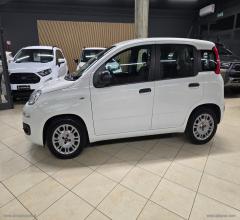 Auto - Fiat panda 1.0 firefly s&s hybrid